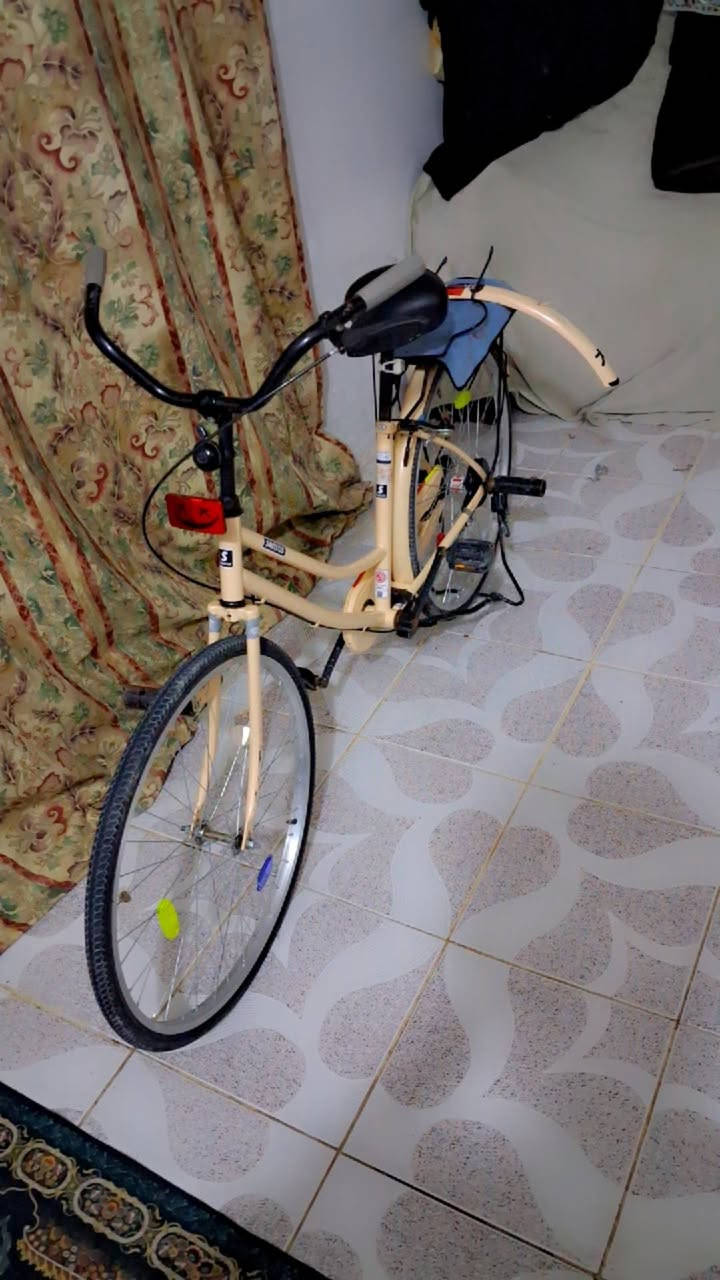 بايسكل باله جديد حجم 26 المكان البصره شط العرب الجزيره الفيحاء سعره170
*********** رقم واتساب🫡
