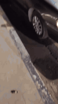 اخوان كورلا للبيع موديل ٩٤ سنويه ٣٠ رقم مسطرة انكليزي مصبوغه عام جماليه سعرها ٣٦ وبيها مجال شرعيها يحول بس الاتصال ***********
