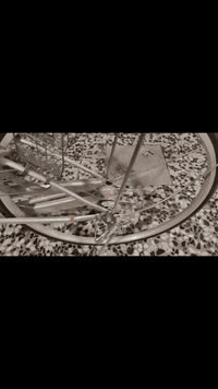 السلام عليكم بايسكل بناتي 💥 لون سلڤري 🚲 نضيف ياباني ✈️ دسك داخلي 3 تحويلات حجم 27 ⚡ مكينه داخليه الرقم *********** مكاني بغداد 💥☘️
