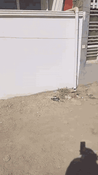 بيت للبيع المساحه 103 متر ركن يقع في بغداد الفحامة قرب جزيرة بغداد الس...