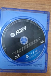 فيفا ٢٤ • بلاي فور