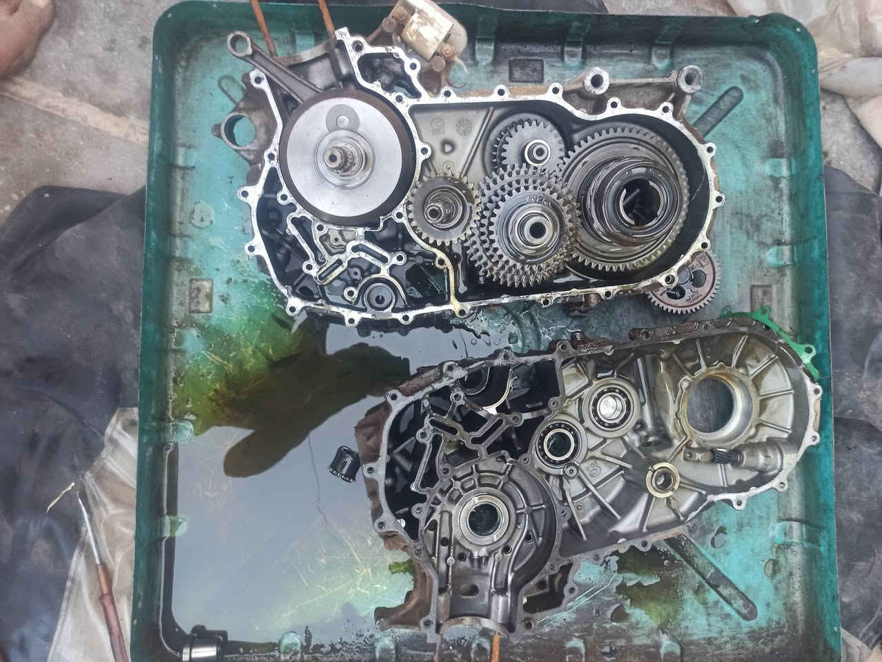 صيانه تكتك بياجو واتول عنواني بغداد زعفرانيه شارع المعهد  ‏‪0776 081 8537‬‏
