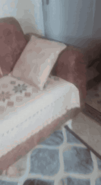 تخم كامل 10 مقاعد نضيف فقط ضرر بسيط مثل ماموضح بالفيديو 

غير متواجد ع الفيس  
واتساب او اتصال 
السعر بـ 150 وبي مجال بسيط 
 *********** / بغداد البنوك
