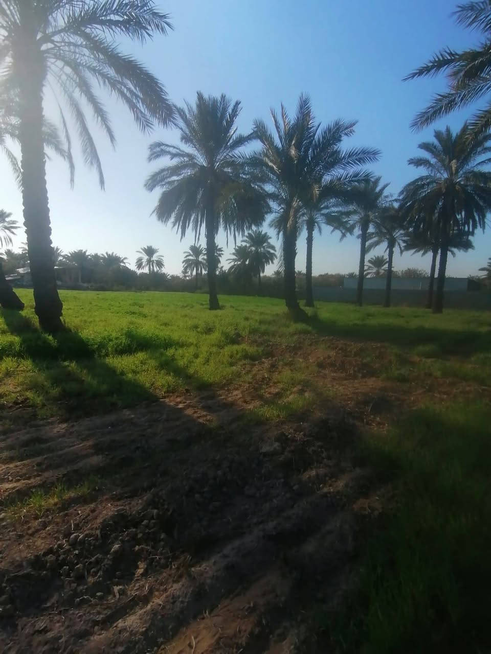 السلام عليكم
3دوانم ملك صرف طابو التويثه الشرقيه / الورديه قريب على حقول حسين شنيشل الواجه 105


**إذا كنت صاحب هذا الإعلان وتريد حذفه لأي سبب، رجاءا أرسل رسالة إلى الدعم الفني**