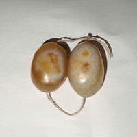 زوج سليماني • نثيه وفحل • مدينه الصدر