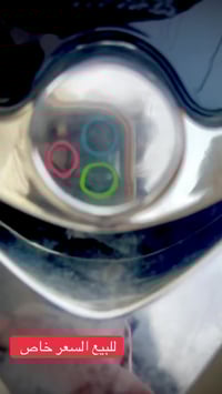 ماكس منغولي • مجال • الوركاء