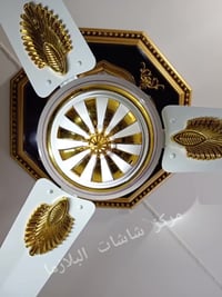 مروحه • باكستاني