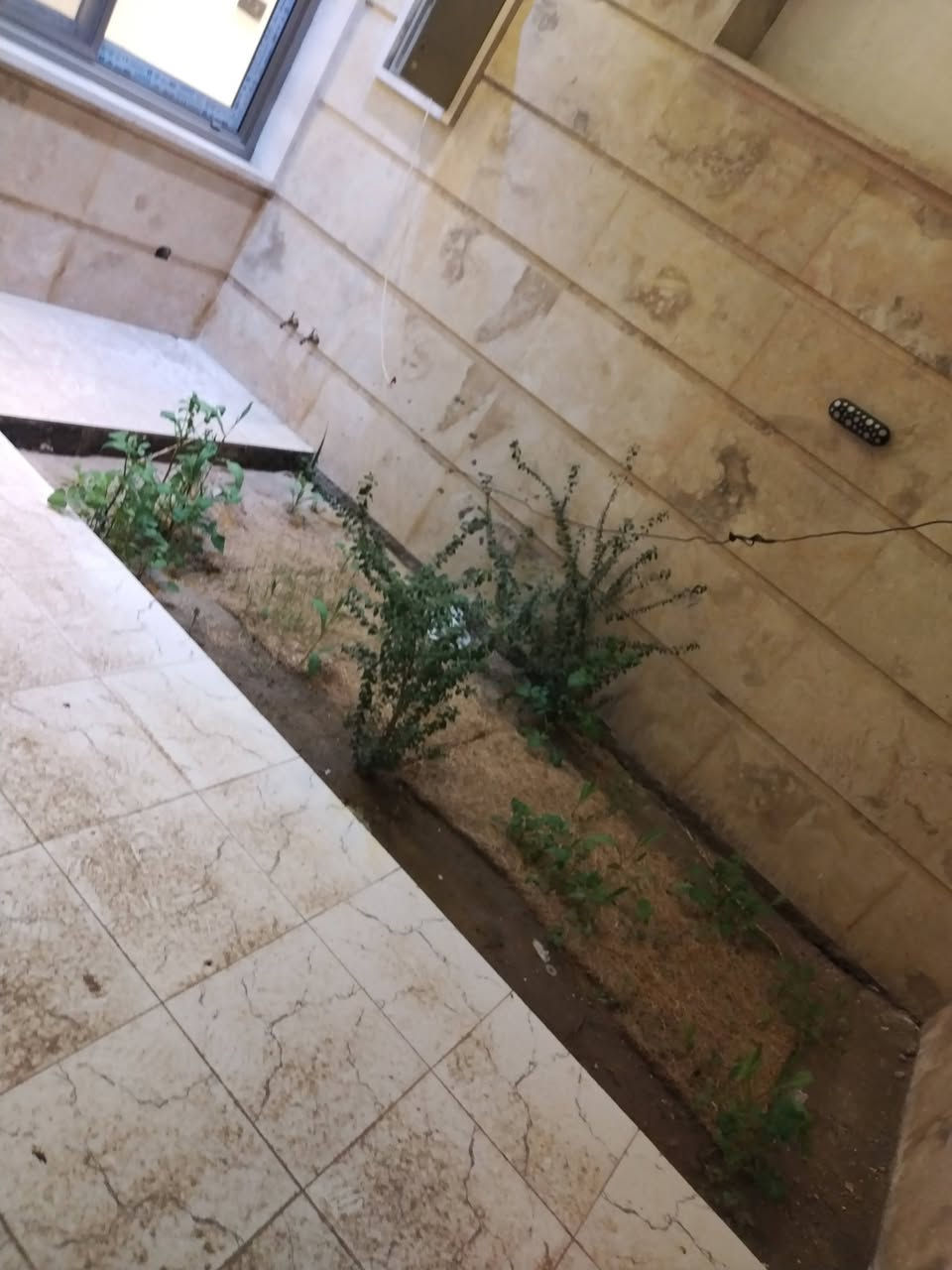 تحيه طيبه
للبيع في حي الحسين

بغداد
تـــــم جمع ما بين الحداثة والرصانة

بيت 150 م
٤ غرفه نوم
غير مستعمل
حديث
٥٣٥ مليون

***********
واتساب

حكمة اليوم :

الحياة مستمرة سواء ضحكت أم بكيت فلا ، تحمل نفسك هموما ، لن تستفيد منها ، القلق لا يمنع ألم الغد ، لكنه يسرق متعة اليوم ...
