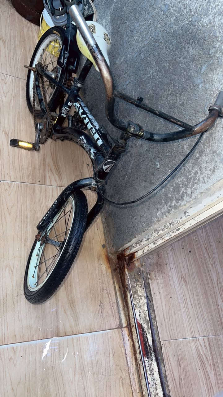 باسكل للبيع حجم 12السعر 30باله مكان كربلاء


**إذا كنت صاحب هذا الإعلان وتريد حذفه لأي سبب، رجاءا أرسل رسالة إلى الدعم الفني**