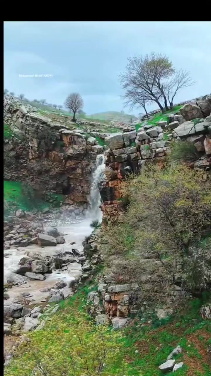 شركة چراي سيتك السياحية ترحب بكم دائماً 🌍✨
ونستمر في تعريفكم بأجمل وأحدث الأماكن السياحية لقضاء أوقات ممتعة ومميزة مع أحبائكم 💙🏞️
للمزيد من المعلومات والحجز يرجى التواصل على الأرقام التالية 📞: ***********
***********
رحلات ممتعة بانتظاركم معنا 🤍
