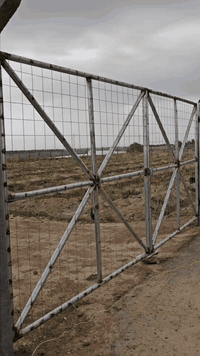 #تخفيضات_لأصحاب_المساحات_الكبيره
***********  0781 825 1901
#ثقة_مصداقية_بالعمل 🛠️ اختيارك الأول لإنشاء سياجك
🏗️ شركة ومعامل بــــغداد للــ BRC   للإنشاءات - رواد في مجال الأسيجة المعدنية B.R.C.
📏 نقدم مجموعة واسعة من الأحجام والقياسات، لنلبي كل احتياجاتكم.
💸 أسعار تنافسية تبدأ من ٦,٠٠٠ دينار إلى ٩,٠٠٠ دينار للمتر، مع ضمان الجودة والمتانة.
👷‍♂️ كادر فني متخصص يضمن لك أفضل تركيب وأداء عالي الجودة.
📲 للتواصل والاستفسار، راسلونا عبر الواتساب:
- *********** _واتساب
-  ***********_واتساب
0781 825 1901
🇮🇶 خدماتنا متوفرة في جميع محافظات العراق.

لا تتردد في الاتصال بنا للحصول على استشارة مجانية ومعرفة المزيد حول خدماتنا.
