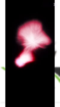 قطع غيار • جيربوكس • إصلاح جيربوكس