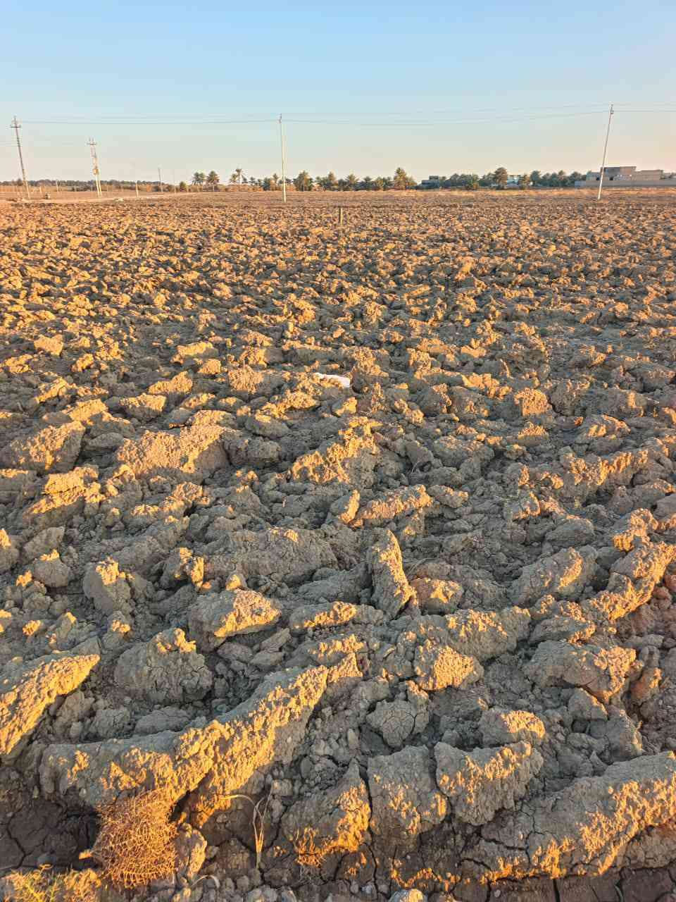 يعلن مكتب اليرموك للعقار العنوان الانبار عن توفر قطع
في ناحية اليرموك (زنكورة ) طابو زراعي سند25 تحويل مباشر تتوفر جميع الخدمات بمساحات متعددة حسب الطلب بمساحات مختلفه 
١. ثلاثة دوانم سعر دونم 20
٢. خمسة دوانم سعر دونم 20
5 عشرة دونم سعر دونم 20 
2030 دونم سعر دونم 10
90 دونم سعر دونم 13
80 دونم سعر دونم 12
60 دونم سعر دونم 15
40 دونم سعر دونم 15
تتوفر جميع الخدمات 
 للأتصال والاستفسار 
حجي مصطفى خليل 
***********
