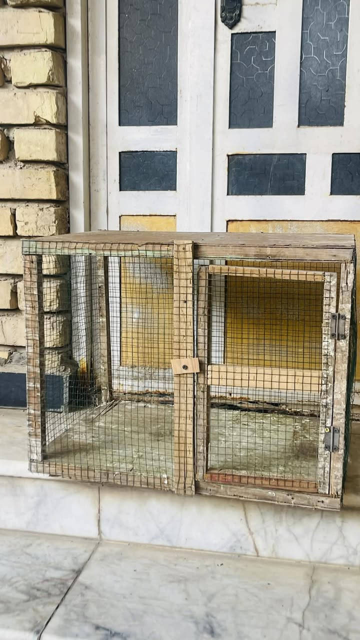 خانه نضيفه للبيع مكاني رفاعي الي يريده يراسلني


**إذا كنت صاحب هذا الإعلان وتريد حذفه لأي سبب، رجاءا أرسل رسالة إلى الدعم الفني**