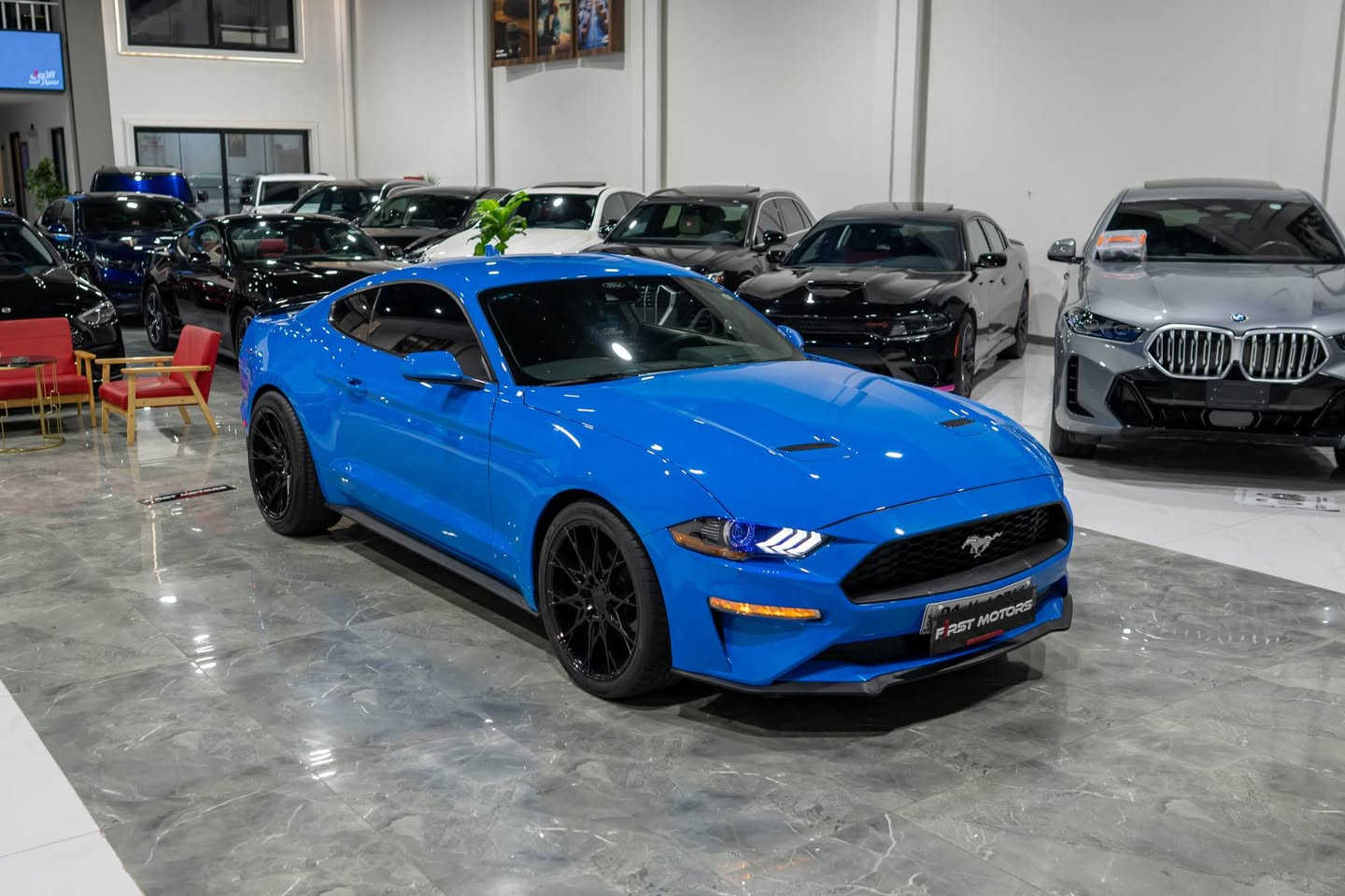 کوردی /عربی 
*********
دروستكراوي :-Ford 
مۆدێل :-   Mustang     
ساڵ : 2023 
بزوێنەر : V4 2.3L
بگۆری بزوێنەر : Automatic 
یەک جملوغ بویاغە 
بێ ناوگرتن 
ئێرباک : سوکان سیستەم 
سوتەمەنی : بنزین
نرخ : 18300$
دۆخ : بەکارهاتوو
ماوەی ڕۆشتوو:    40 mile 
تابلو ئوتومبێل : هەولێر  
***********
النوع :- Ford
المودیل : mustang
السنة : 2023
المحرك : V4 2.3L  
ناقل الحركة: Automatic
واحد جملغ صبغ 
بدون داخل 
ایرباک: ستیرن سیستم 
نوع الوقود : بنزین 
الحالة: المستخدم 
السعر: 18300$
عدد اميال :    40 mile      
رقم السیارە: اربیل 
**********
***********
*********** أربيل, العراق


**إذا كنت صاحب هذا الإعلان وتريد حذفه لأي سبب، رجاءا أرسل رسالة إلى الدعم الفني**