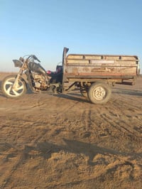 ستوته • الديوانية ال حمد • بيه مجال