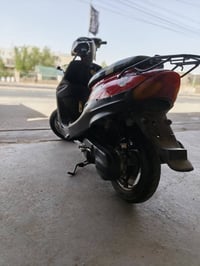 درجه • فحل • شغال