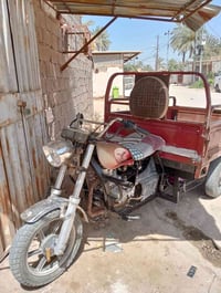 ستوته • مديل ١٨ • بدون اوراق