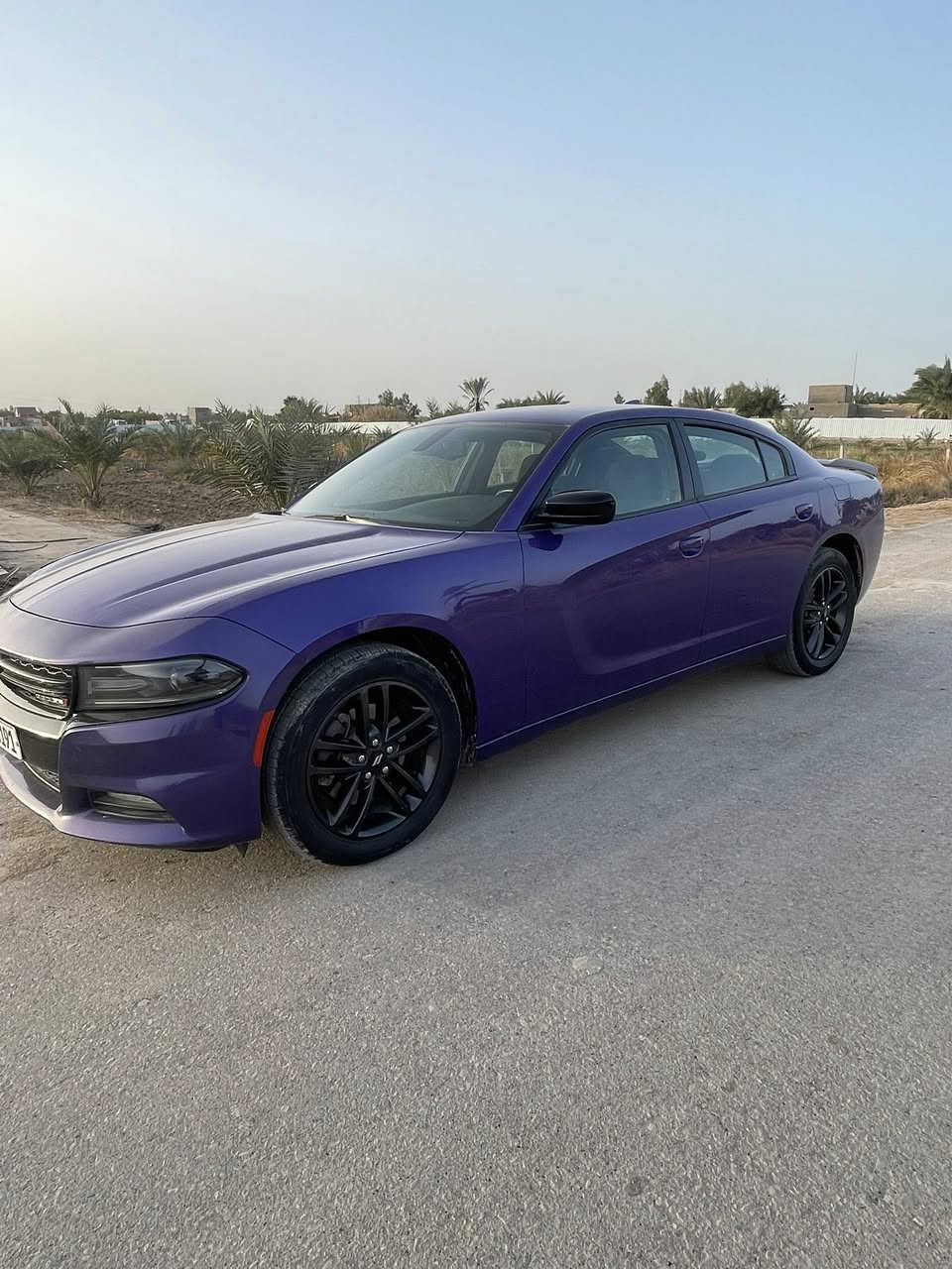 السلام عليكم جارجر 2019 اصل
حادثها موضح كدامك بالصور
جاملغاتها وبنيدها  نفسهن لا مبدلات ولا مصبوغات 
السياره ما بيها صبغ سعرها ٢٠٥ وبيها مجال 
رقمها بغداد وموجوده بالديوانية 
***********
