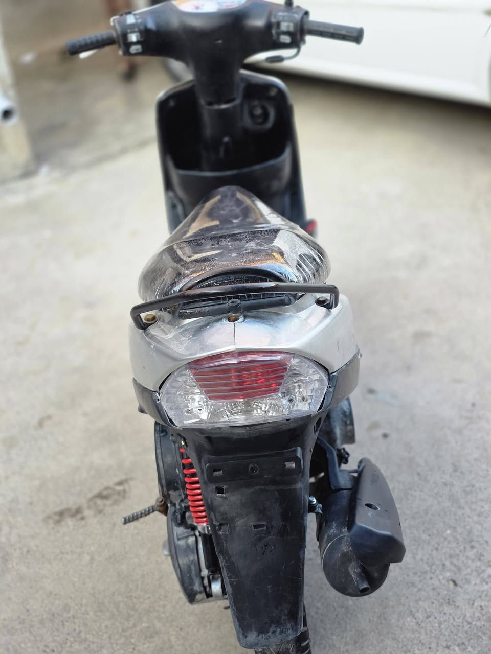 ماكس منغولي لبيع  ***********
