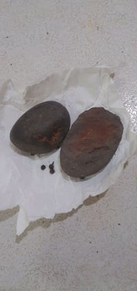 حجر هبهاب • نازف