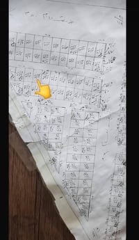 ديوان المحافظة • نص قطعة • ١٢٥م