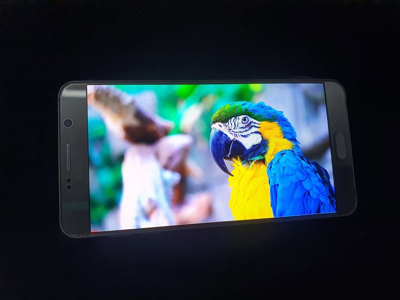 نوت 5 ذاكرة ٣٢ /٤ 
شاشة 2k 
بصمة شغالة 
ملاحظة القلم ضايع  وبدون ملحقات 
السعررررر 75 او اراوس جهاز بجهاز اذا اكو مراوس السماوا, المثنى


**إذا كنت صاحب هذا الإعلان وتريد حذفه لأي سبب، رجاءا أرسل رسالة إلى الدعم الفني**