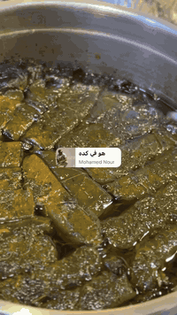 مرحباً صفحة يلا ناكل نقدم أطيب الأكلات ونظافة وجودةًعالي
عرض يوم الأحد توصيل مجاني الاعظمية للحجز ***********
هذا صفحة على فيس بوك يلا _ناكل
