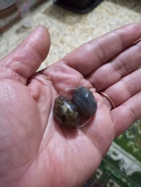 اكسسوارات • للبيع