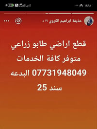 كنعان • سند 25 • نص دونم