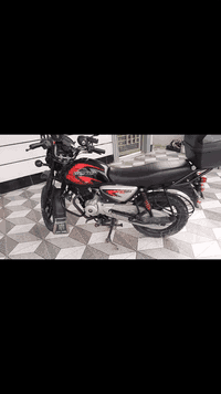 بوكسر موديل 2022 اوراق اصولي بعده عله وضع الشركه بيع ابومراوس بدايوان ...