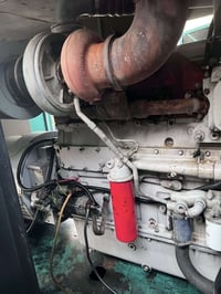 كيو اس كامشه البيع 07822015634 راس توليد500 كيفي