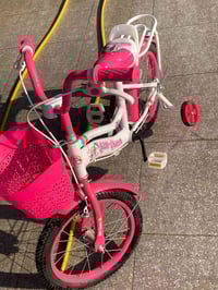 بايسكل نفرين • جديد • تحمل ٥٠كج