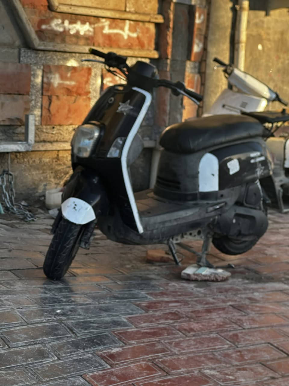 سلام علیکم بوليس2010. نوزل     مامفتوحه السعر 750. وبيه مجال للطيبين


**إذا كنت صاحب هذا الإعلان وتريد حذفه لأي سبب، رجاءا أرسل رسالة إلى الدعم الفني**