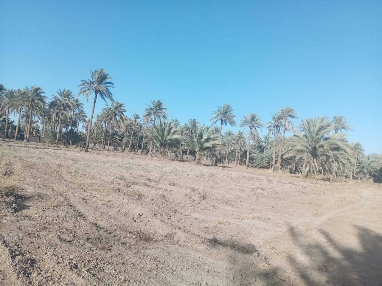 قطعه أرض للبيع دونم ونص لمكان رشيده قرب مدرسه الوطن العربي للاستفسار ***********
