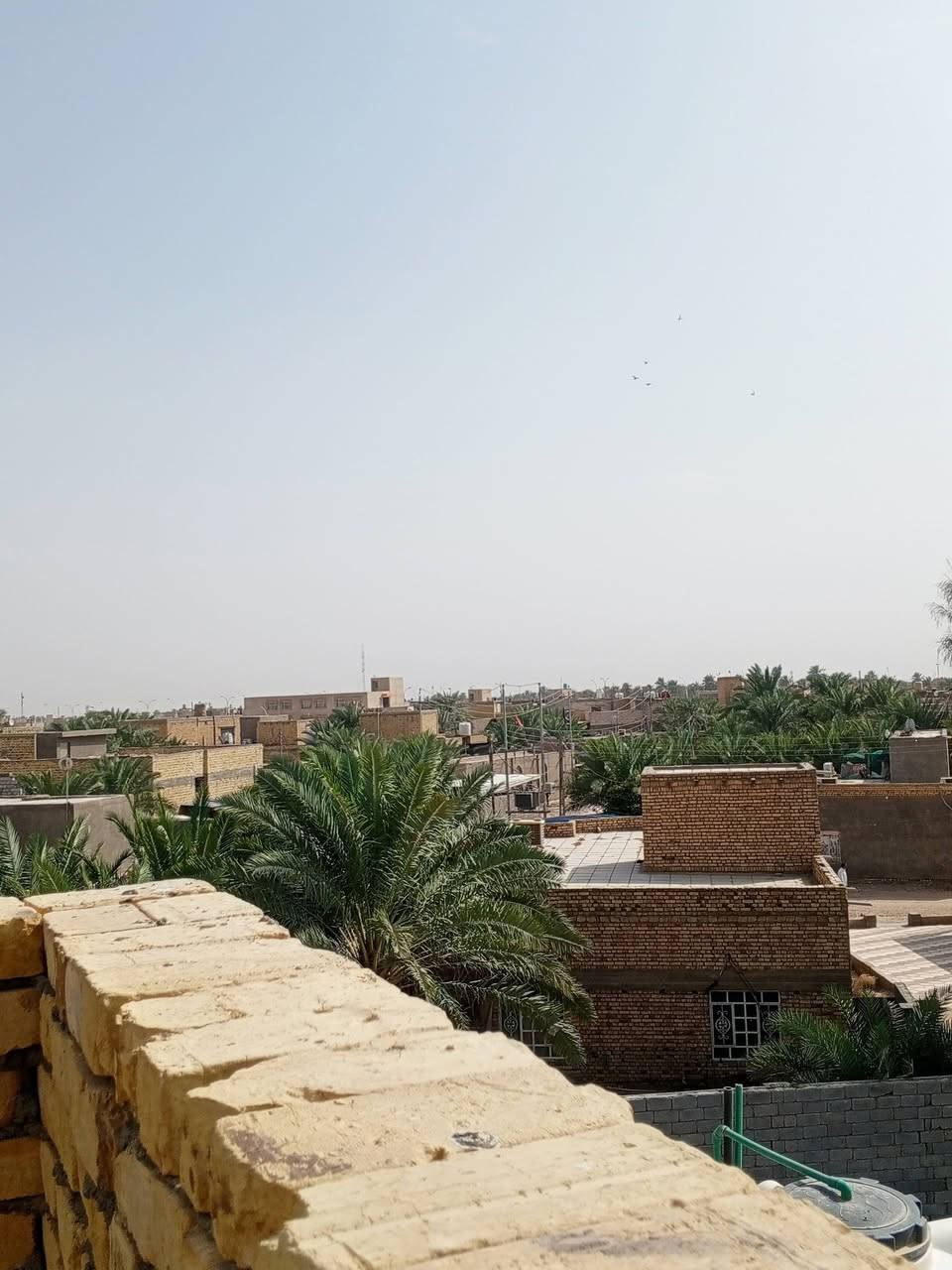 يالله الهم صلي على محمد وآل محمد
بيت زراعي طابقين لبيع مساحته البيت ميت متر بناء طابوك صب كونكريت صطح اشتايكر السماو يحتوي البيت على الطابق الاول استقبل ومطبخ وصاله وغرفه وحمام داخالي دراج مرمر ايراني الطابق الثاني يحتوي على 3غراف وصاله وحمام داخالي بيت بسمي عنوان البيت ازديناويه مقابيل مدرسة صفي الدين يم مجمع عمار قريب على الشارع تبليط خدمات مجاري ماي كهرباء ونت استفسار اتصل او مراسلت الصفحه ***********
