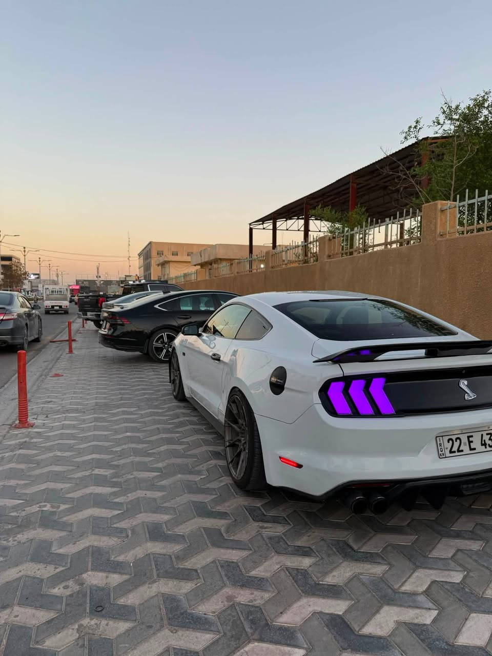 🚗 للبيع | فورد موستنج GT 5.0 محدثة شيلبي 🔥
💰 السعر:  155$
 
📅 الموديل: 2016
🏁 المحرك: V8 سعة 5.0 لتر
⚙️ ناقل الحركة: أوتوماتيك 10 سرعات (10 نمر)
🛣️ الممشى: 94 ألف

📌 الحوادث:

* 🇺🇸 حادثها في أمريكا: جاملغ خلفي.
* 🇮🇶 بالعراق: باب وجاملغ أمامي.
* ✅ البنيد محدث.

✨ المواصفات والإضافات:

* 🔥 مظهر شيلبي.
* 💎 السيارة فول مواصفات ومتَعوب عليها.
* 🛞 جگات مميزة.
* 🎵 أكزوز طرب بصوت رائع.
* ⚫ ويل SRT.
* 🏎️ وشوم داخل المحرك.
* 🌈 لايت امامي متعدد الألوان.
* 🌈 بگ لايت متعدد الألوان.
* 📺 شاشة ديجيتال كبيرة.
* 🎛️ تحكم بالستيرن.
* 🏁 4 مودات قيادة.
* 🎯 3 مودات للستيرن.
* ❄️🔥 تبريد وتدفئة للكشنات.
* 💺 كشنات جلد كهربائية.
* 🖤 دركة كاربون فايبر.
* 🖤 غطاء المرايا كاربون فايبر.

📞 للاستفسار والمعاينة ***********
