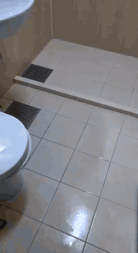 عمل تنظيف الشقق بسمايه بأيدي عراقيه ماهره متخصصه هاتف واتساب ***********
