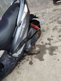 ماكس ثعلب • كفالة عام • أوراق اصولية