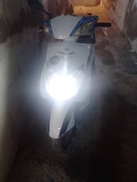 سكنس فحل • ياباني • كابريتا