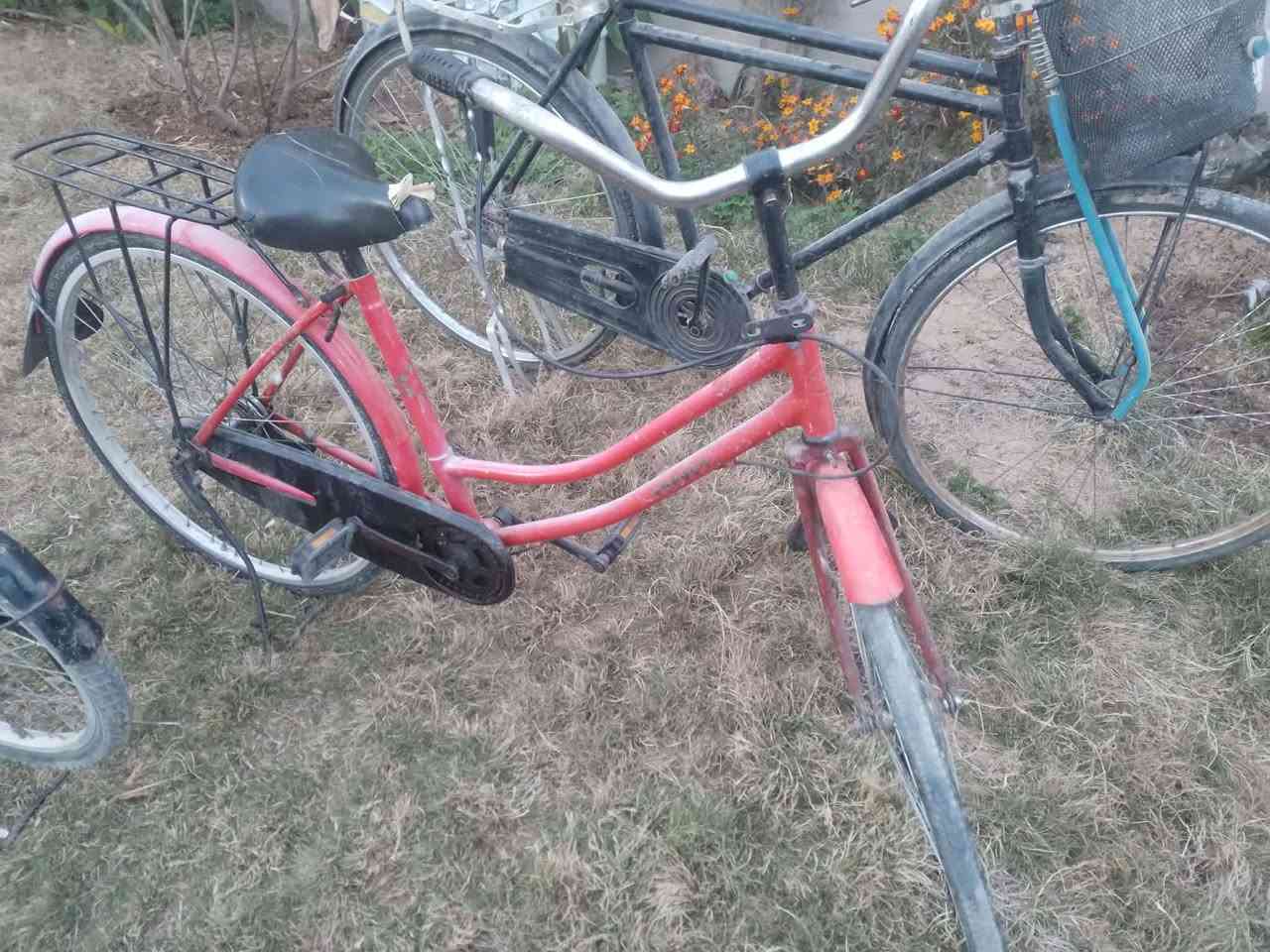 بايسكلات للبيع عدد ثنين حجم 28
وحجم 24للبيع الاتصال بل رقم ***********
