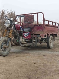 ستوته للبيع 14 اوراق أصولي؟  07716057460