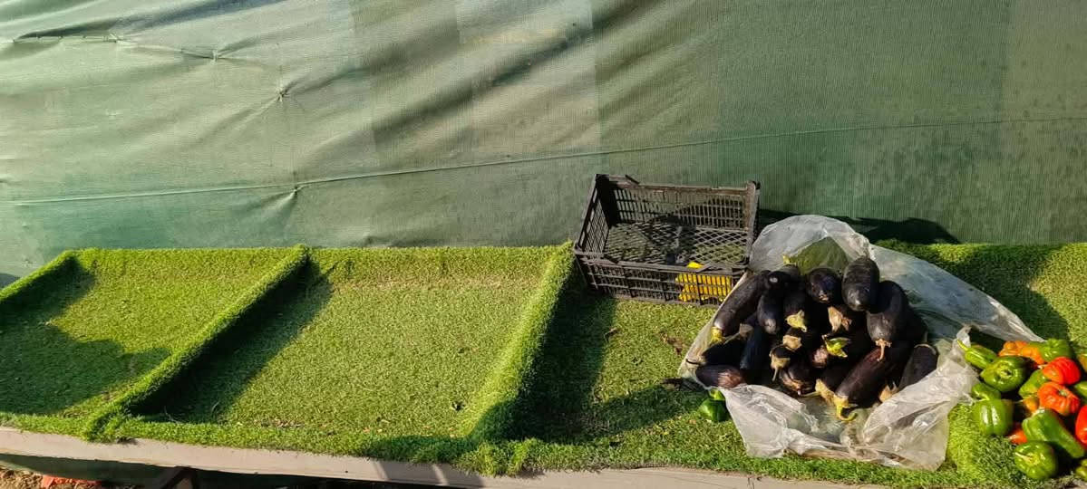 ميز مخضر للبيع عدد3 نضيف اي ضرر مبي السعر300كلهن بيهن مجال شراي خاص عنوان حي الحسين جديد


**إذا كنت صاحب هذا الإعلان وتريد حذفه لأي سبب، رجاءا أرسل رسالة إلى الدعم الفني**