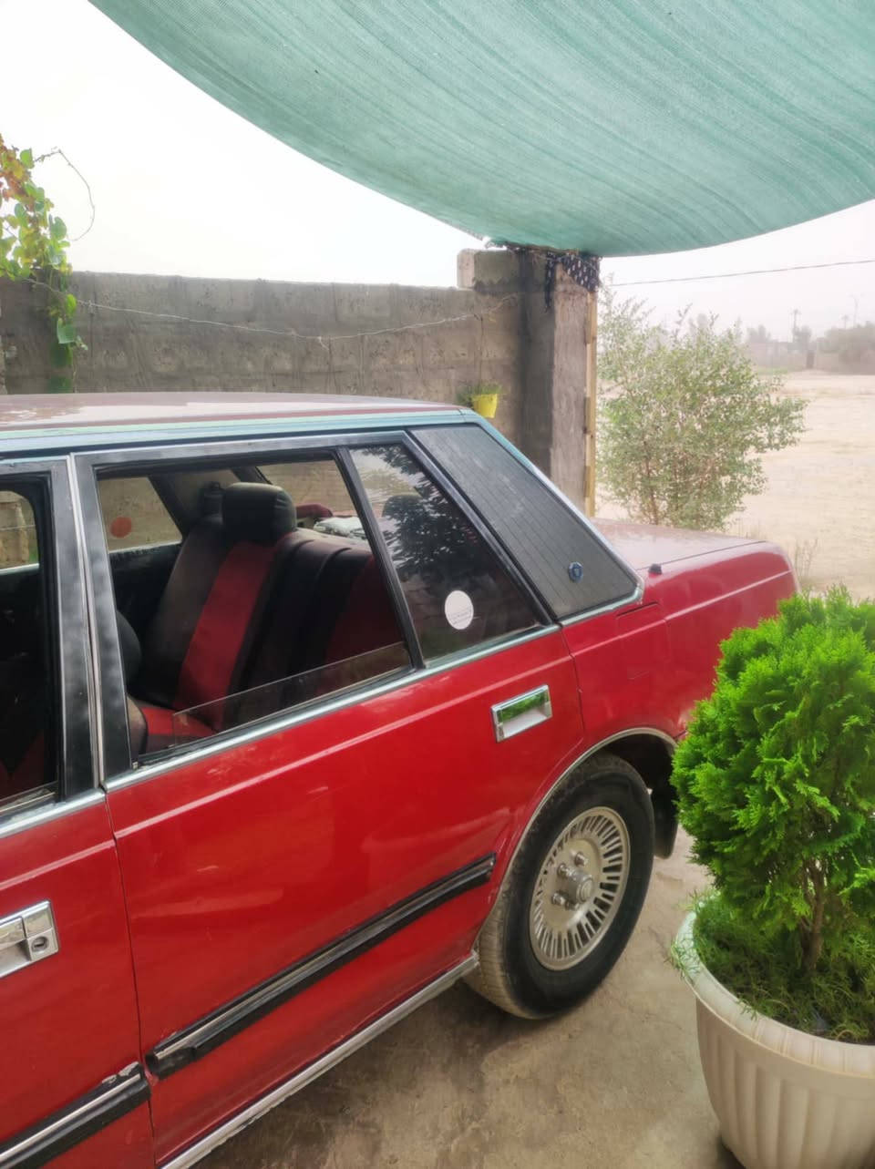 السلام عليكم
وين جيل الطيبين ؟ 
سوبر موديل 1986 
للبيع. سيارة گير محرك شرط 
صدر امامي خلفي طبة 
طخم تاير جديد 
چاملغ الخلفي بي صبغ و الباقي بلادي 
رقم الماني السنويه لل 2029 
اعتذر عن المراوس بيع فقط 
السعر 50 و بيها مجال 
للاستفسار اتصل ***********
