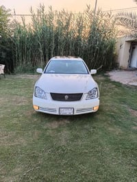 شاهينه للبيع صدفيه فول واحد على واحد كفاله عامه رقم بغداد بسمي السعر ١...