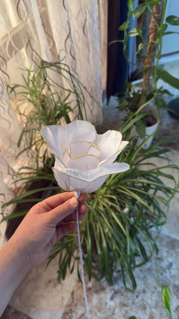 اللون وشكل الوردة حسب طلب زبونتي الحلوة 😍🌺وردات لازم انطيهم حقهم ب النشر 
انتظروا بوست البوفيه القادم بأذن الله


**إذا كنت صاحب هذا الإعلان وتريد حذفه لأي سبب، رجاءا أرسل رسالة إلى الدعم الفني**