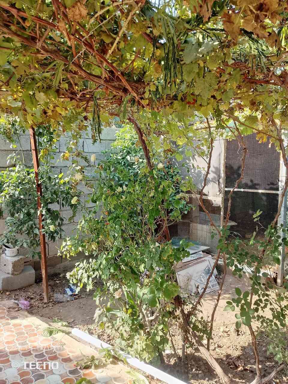 السلام عليكم بيت للبيع زراعي سند 25 المساحه 300 متر متكون من غرف نوم 3 وصاله واستقبال ومطبخ ومطبخ حراري  في جديدة الاغوات قريب على الشارع العام قرب مجمع بهزاد  للاتصال ***********
