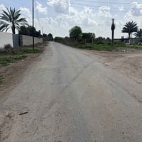 دونمين ونص ركن  طابو زراعي بشارع شيخ ونس على طراف العالي عل شارع مباشر...