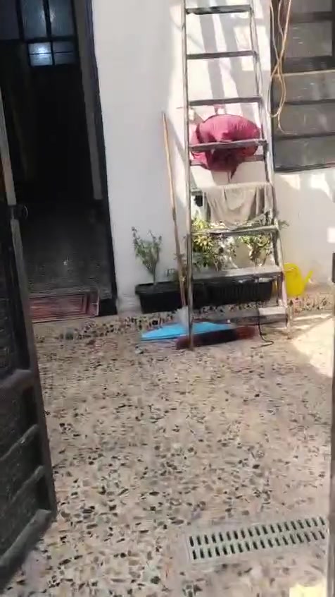 السلام عليكم مرخصةمديرالاكروب المحترم بيت جاهز للبيع زراعي المساحه ٨٠ يحتوي عله ستقبال وصاله ومطبخ وحمام منور زاد قرفه نوم مال عائله  صغيره خدمات كامله مجاري وتبليط مقرنص كهرباء انترنيت ضوئي مولده ذهبي للاستفسار مستعجل على بيعته رجان جيك سعار المنطقه وتعال القدس قرب المستشفى الجديدة  مال الفضيليه *********** سعر ٣٨
