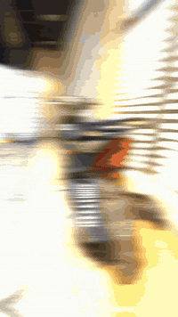 دراجة ثعلب مزودة بلادي كلشي بيهة بلادي  مغلفة وموشمة يم فقار مابيهة اي...